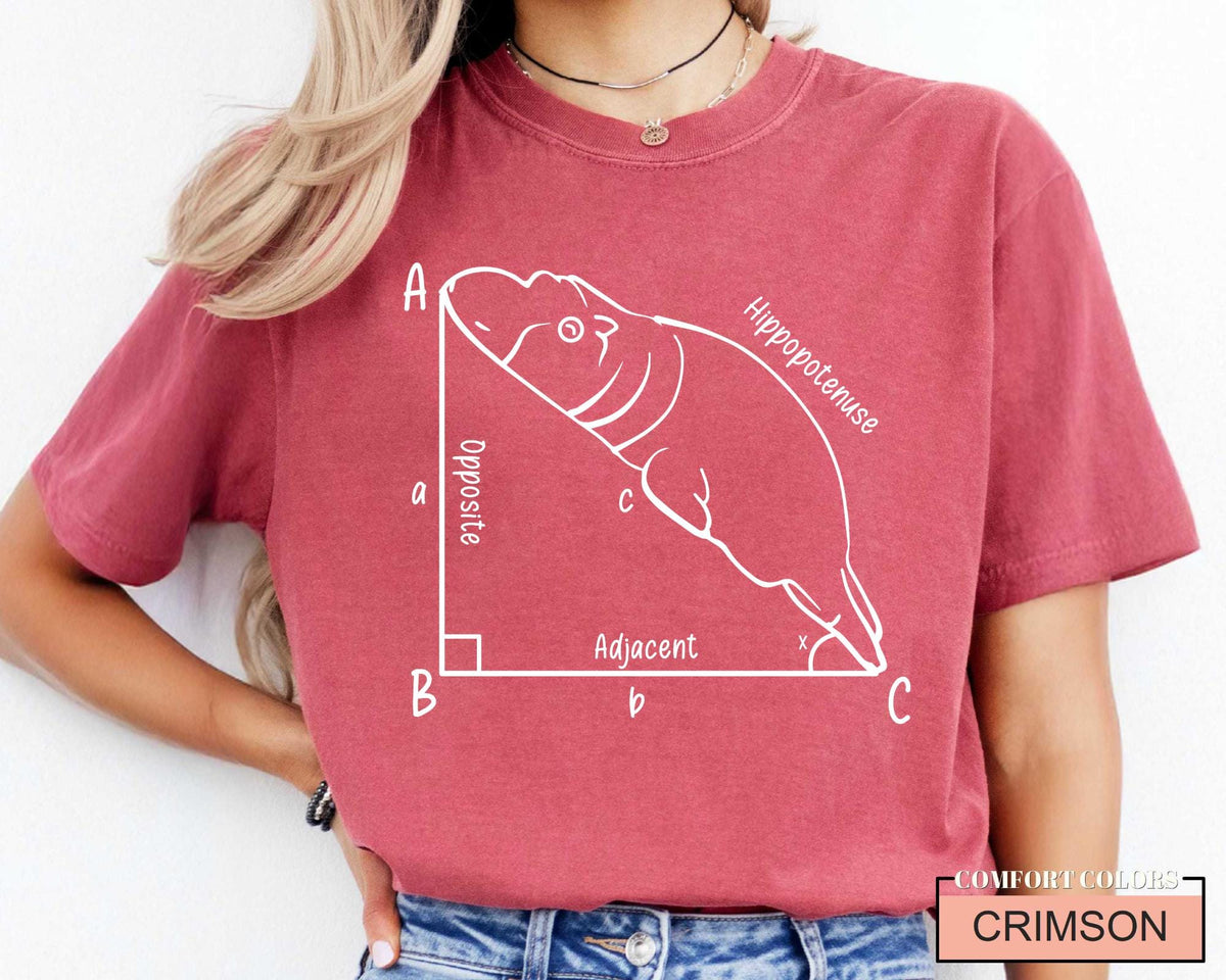 Funny Hippopotenuse Math T-Shirt, Geometry Teacher Gift