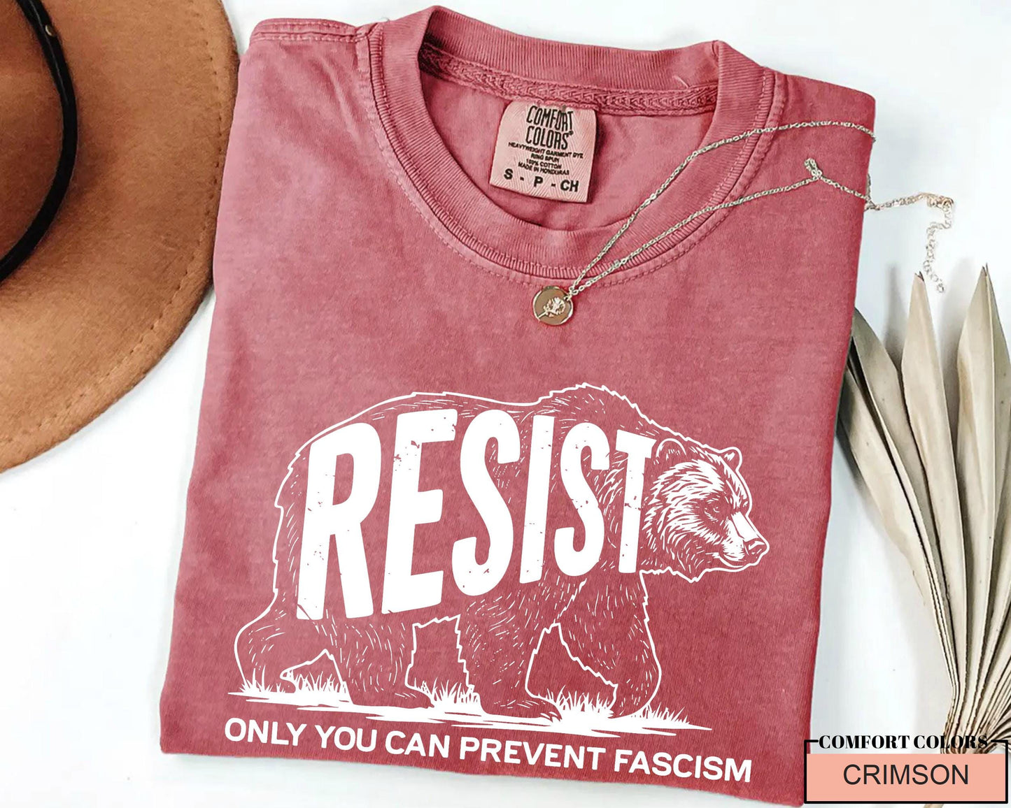 Resisting Bear Shirt: Anti Fascism Resist T-Shirt