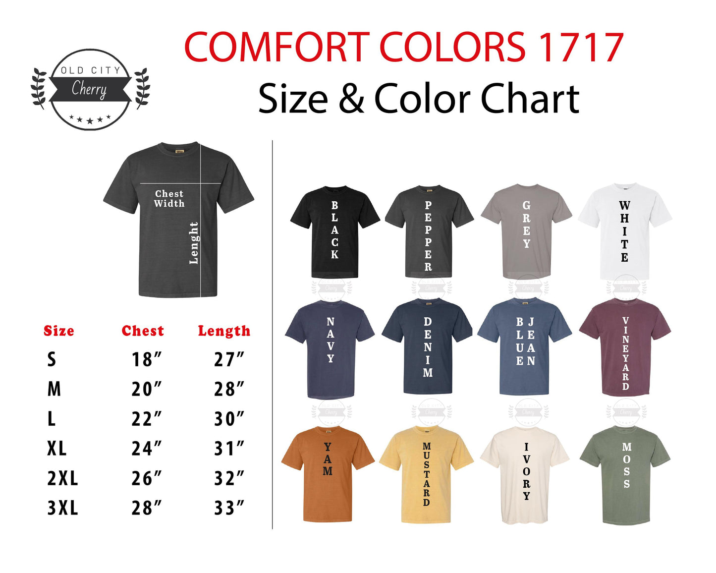 The Future Is Female Shirt - Retro Feminism Comfort Colors Tee
