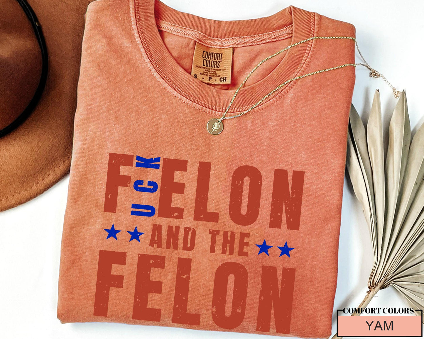 F'Elon and The Felon Shirt: Anti Trump Protest, Political Activist Tee