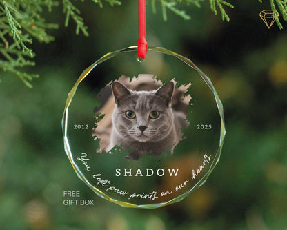 Custom Cat Photo Memorial Glass Ornament - Loss of Kitten Picture