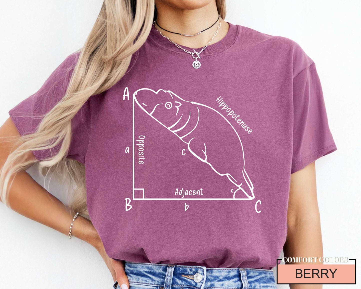 Funny Hippopotenuse Math T-Shirt, Geometry Teacher Gift