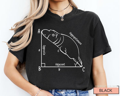 Funny Hippopotenuse Math T-Shirt, Geometry Teacher Gift