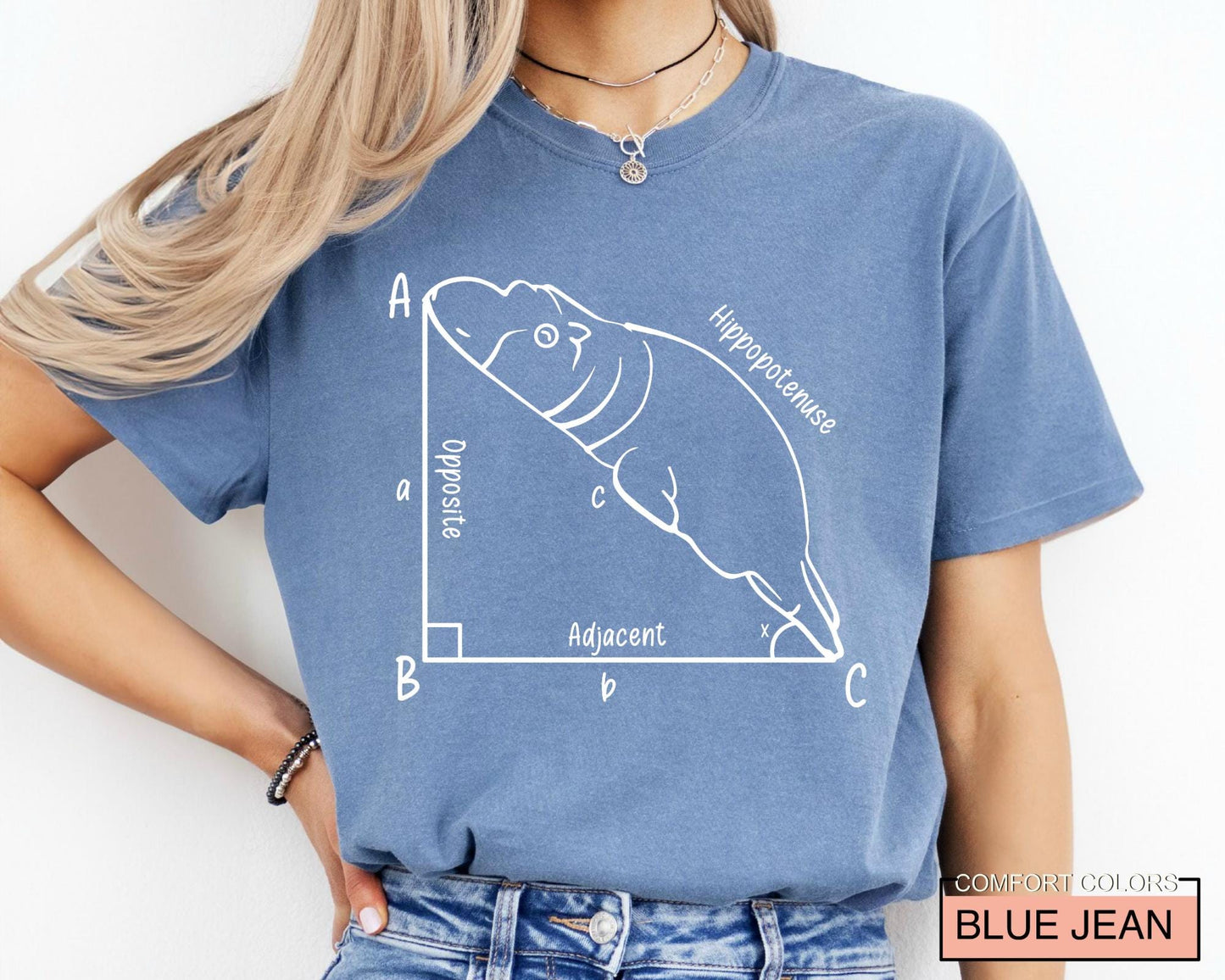 Funny Hippopotenuse Math T-Shirt, Geometry Teacher Gift