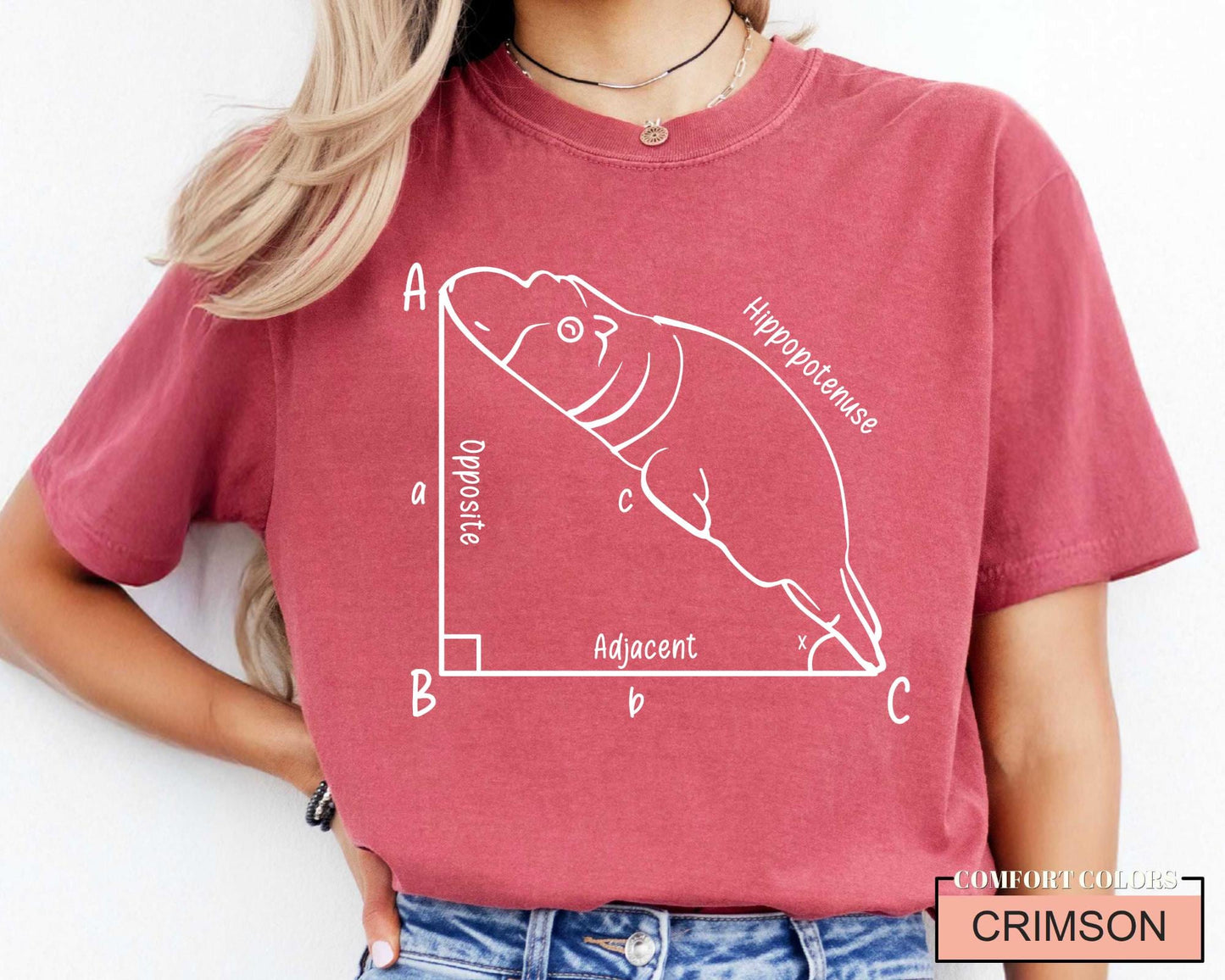 Funny Hippopotenuse Math T-Shirt, Geometry Teacher Gift