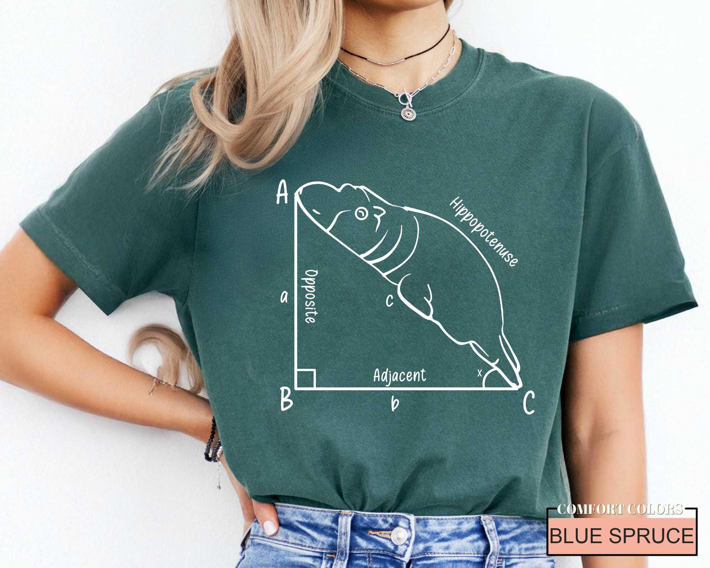 Funny Hippopotenuse Math T-Shirt, Geometry Teacher Gift
