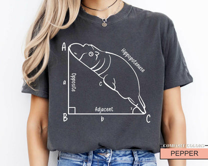 Funny Hippopotenuse Math T-Shirt, Geometry Teacher Gift