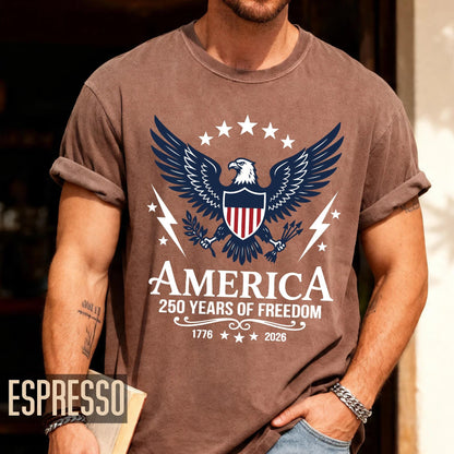 Patriotic America 250 Years Of Freedom Shirt, Vintage US Bald Eagle Semiquincentennial Tee, 1776 2026 Independence Day Shield Top
